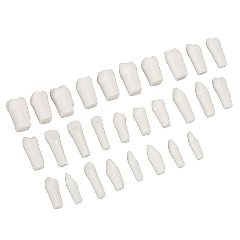 28Pcs Removable Teeth Piece Durable Plastic Removable Design False Teeth