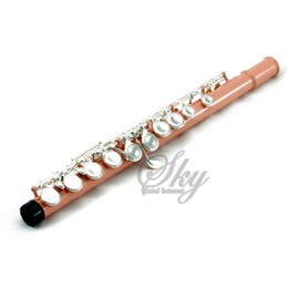Sky(Paititi) Velvet Pink Silver Keys Closed Hole C Flute with 1 Year Manufacturer Warranty, Guarantee with Lightweight Case, Cleaning Rod, Cloth, Joint Grease and Screw Driver