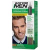 Just For Men Shampoo-In Color, Gray Hair Coloring for Men