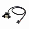 ANRANK 50cm Dual USB 2.0 Type A Female to Motherboard