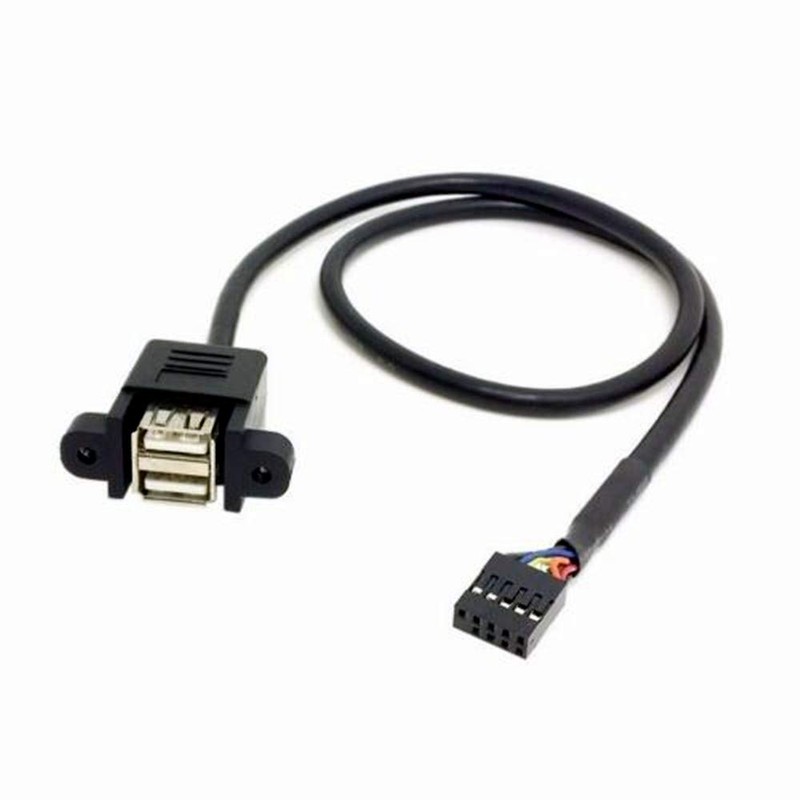 ANRANK 50cm Dual USB 2.0 Type A Female to Motherboard