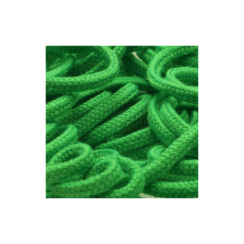 Fujiyama Ribbon Fluorescent Color Thread 2.5M Long (#85 Fluorescent Green,