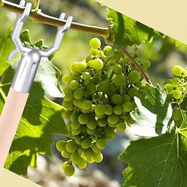 Yardwe Stake Support, 8-Piece Aluminium Alloy for Fruit Trees, Vineyards, Ornamental Gardens, Orchards - Silver