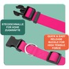 DEY - Premium Nylon Dog Collar | Adjustable | for