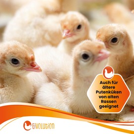 Eivolution Organic Rearing Food with Oregano Oil, 800 g, Extra for Young Animals, Complete Food of Proteins, Amino Acids, Vitamins and Minerals