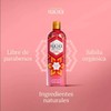 Shampoo Huichol De Chile, Romero Y Espinosilla 400 Ml (Pack