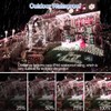 Christmas Lights 8 Modes & Memory Timer Plug in Twinkle