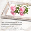 AAZZKANG Wall Mirror Full Length with Wood Frame 43"x14" Rustic