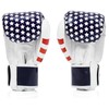 Fairtex US Flag BGV1 Muay Thai Boxing Glove - Size: