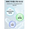 웰업 로엘 미네랄 생 유산균, 150g, 1개 Well Up Roel