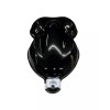VISION AUTO PAINT # 1243 High Gloss Black Single Stage