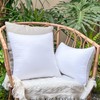 22x22 Outdoor Pillow Inserts (Set of 2) - Plush &