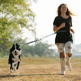 Roses&Poetry Hands Free Dog Leash Heavy Duty,No Pull Bungee Dog Running Waist Leash for Walking Training with Car Seatbelt 4-6FT