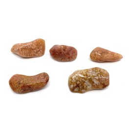 Pink Moss Agate Small Crystal Tumbled Stones - 5 Pc
