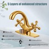 Aolemi Bathroom Sink Faucet Single Hole Cold and Hot Double