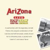AriZona Arnold Palmer Half and Half - 16 Fl Oz
