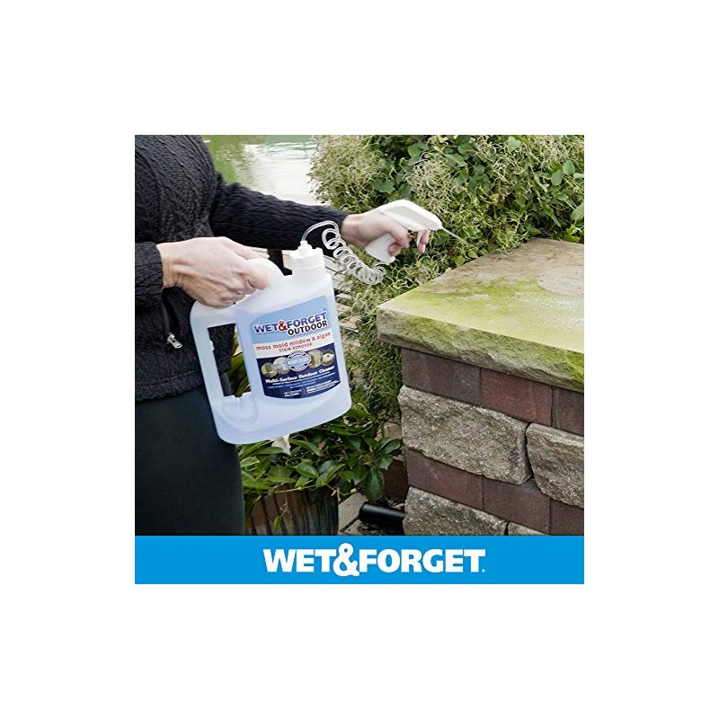 Wet & Forget Outdoor Moss, Mold, Mildew, & Algae Stain