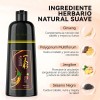 Kaisasa Champú Para Tinte De Cabello marrón oscuro 3 En
