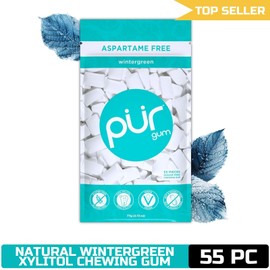 PUR Gum Aspartame Free Natural Wintergreen Chewing Gum, 55 Pieces