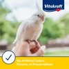 Vitakraft Mini-Pop Corn Cob Bird Treat 6 Ounce (Pack of