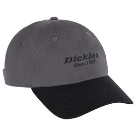 Dickies, Unisex, TWILL DAD HAT, GRAPHITE, OS