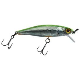 Illex Wobbler Tiny Fry 50 SP 2.7 g Floating RT Visible Roach