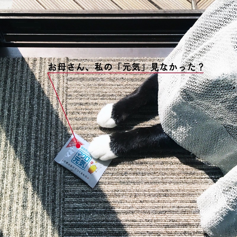 25%増量 NEW「マクロ元気」 【120包パック】LPS サプリメント リポポリサッカライド （1日2包/500μg） 食物繊維 配合