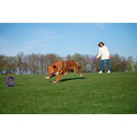 PULLER Midi Interactive Dog Toy Fitness Tool Set, purple