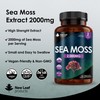 Sea Moss Tablets Extract High Strength 2000mg - Sea Moss