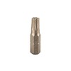 SPAX 5000002016309 BIT Screws, T30