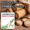 【リプサ公式】 ごぼう茶カプセル 約1か月分 C-250 サポニン サプリメント