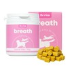Rico Doctor Breath Dog Bronchial Supplement / 리코 닥터 브레스 강아지 기관지 영양제