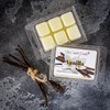 Vanilla Maximum Scented Wax Melts- 1 Pack- 2 oz- 6