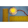 XICATO Power LED, Round LED, XSM8035-1000, 12VDC, 0.5Amp, 500mA, 6W