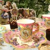 ASVP Shop Alice In Wonderland Party Supplies Set Great For