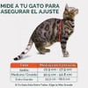 Arnés y correa para gatos, a prueba de escapes, sin