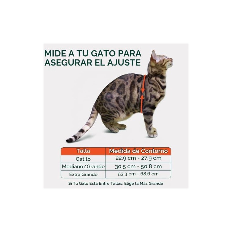 Arnés y correa para gatos, a prueba de escapes, sin