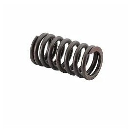 SBT Honda Turbo Valve Spring F-12X /R-12X 14751-HW3-670 2002-2006