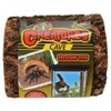 Zoo Med Creatures Cave Medium (5" L x 5" W