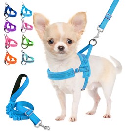 Lukovee Dog Harness and Leash Set, Soft Padded Small Dog Harness, Neck & Chest Adjustable Reflective Vest Puppy Harness with 4ft Lightweight Anti-Twist Dog Leash for Small Dogs (Light Blue, XX-Small)
