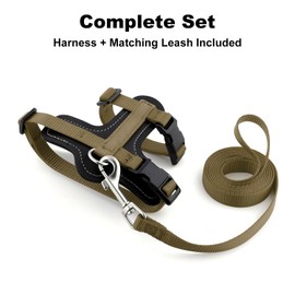 Plutus Pet Adjustable Cat Harness and Leash Set, Quick Release, Escape Proof Nylon Vest with Leather Trim for Kitten, Small Medium Large Cats, Brown