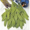 Mr Fothergills - Vegetable - RHS Pea (Mangetout) Delikata -