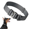BuddyArmor Dog Collar Pro, Soft Lightweight Dog Collar with Metal