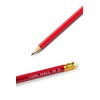 12PA 36 Pencils With Rubbers On The End | HB