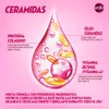 Sedal Shampoo Ceramidas 2en1 620 ml