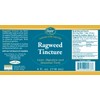 Ragweed Tincture, 4 Oz