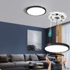 TALOYA Surface Mount LED Ceiling Light 12 Inch-2 Pack Black