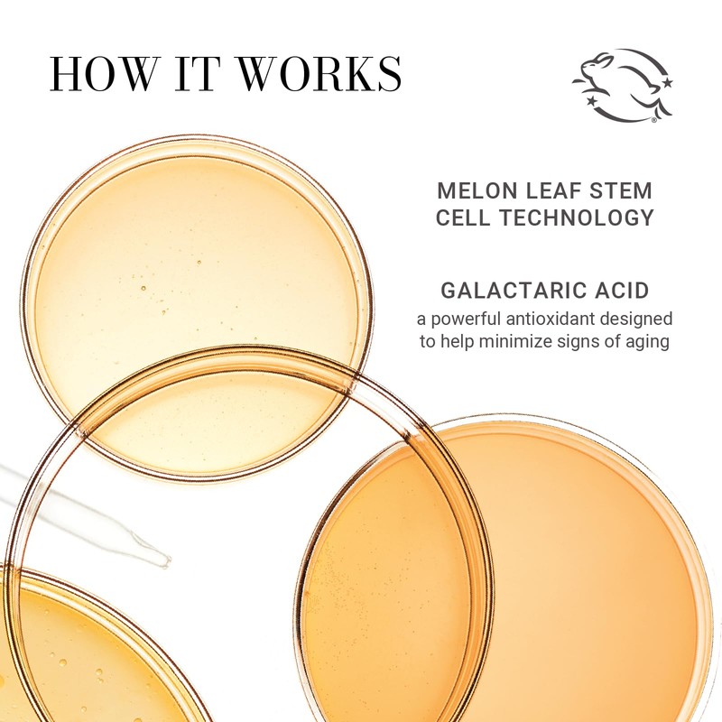 Meaningful Beauty Skin Softening Gentle Cleanser, 2 Fl Oz