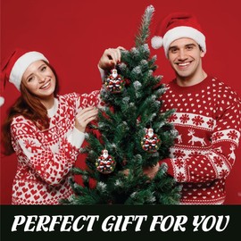 Funny Christmas Ornaments 2025, Santa Claus Decoration, Santa Ornaments for Christmas Tree, White Elephant Gifts