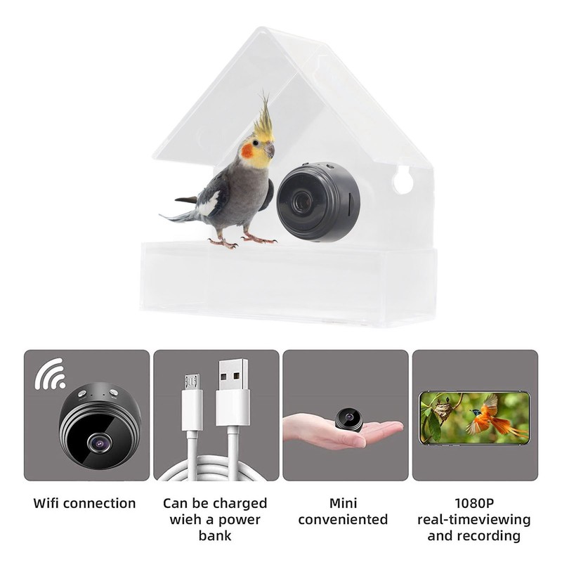 Camera Smart Bird Feeder 720HD Remote Connection Night Vision Clear